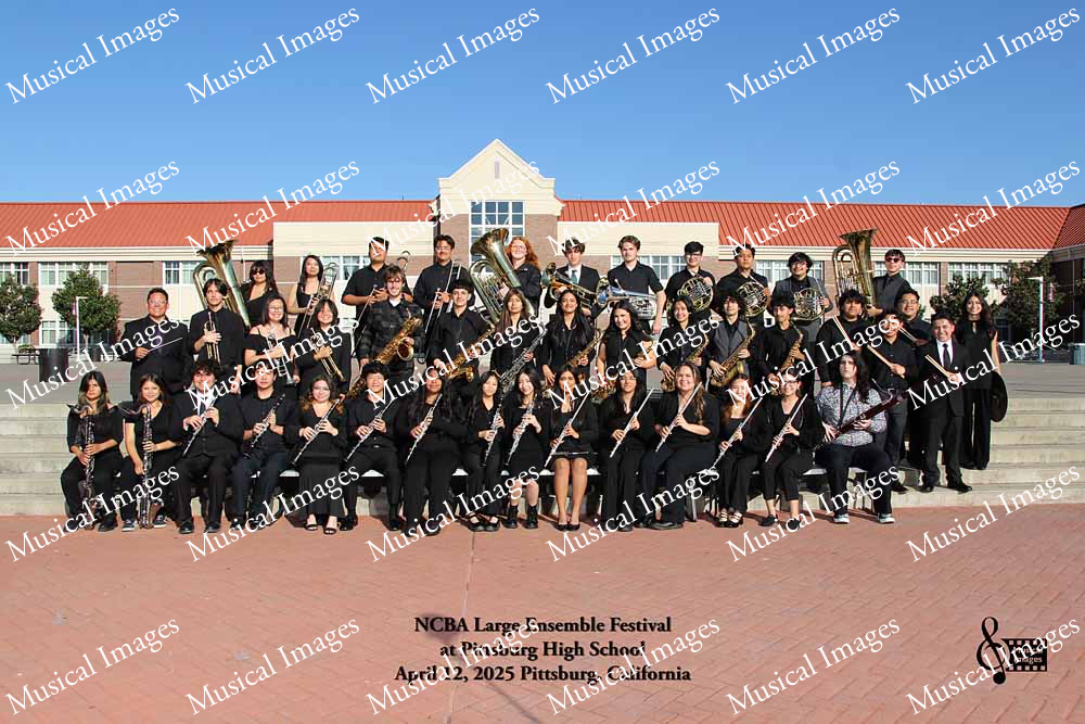Musical Images